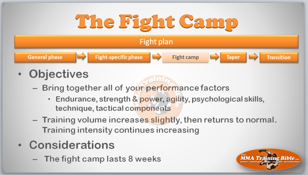 The Fight Camp  How To Train Like a Fighter
